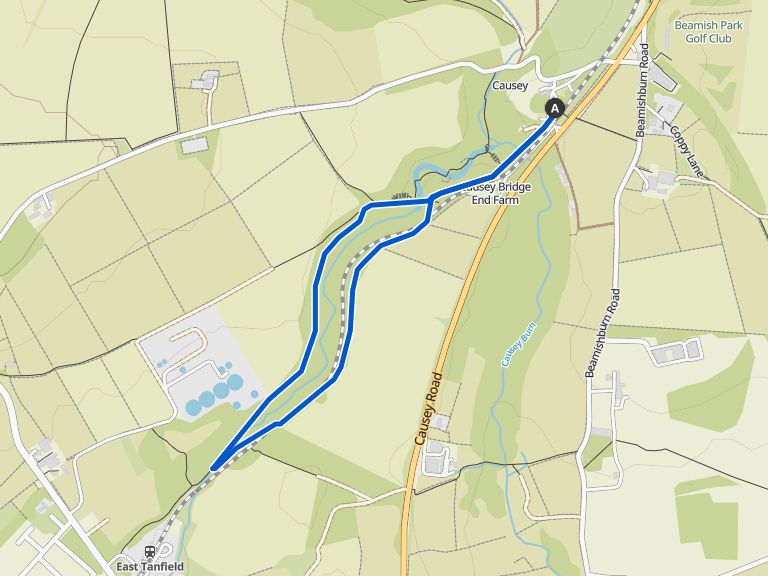 Causey Arch Coal Wagon Loop from Crookgate Bank hike Komoot